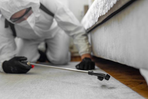 Professional Bed Bug Control technician working in Peach County County, GA